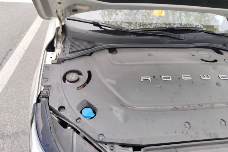 Used Rising ER6 2020 620 km Smart Edition Engine Bay Right
