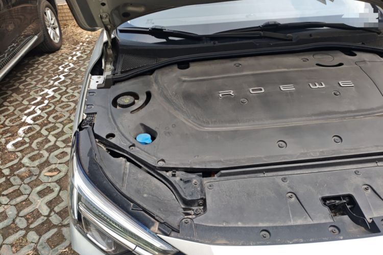 Used Rising ER6 2020 620 km Smart Edition Engine Bay Right