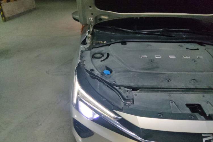 Used Rising ER6 2020 620 km Smart Drive Version Engine Bay Right
