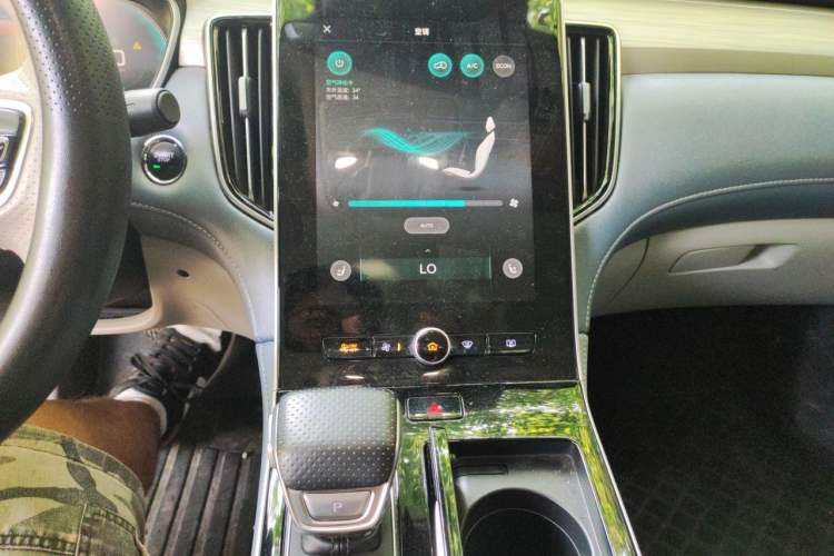 Used Rising ER6 2020 620 km Smart Edition Audio And AC Panel