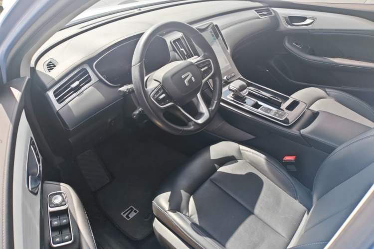 Used Rising ER6 2020 620 km Smart Edition Driver Seat