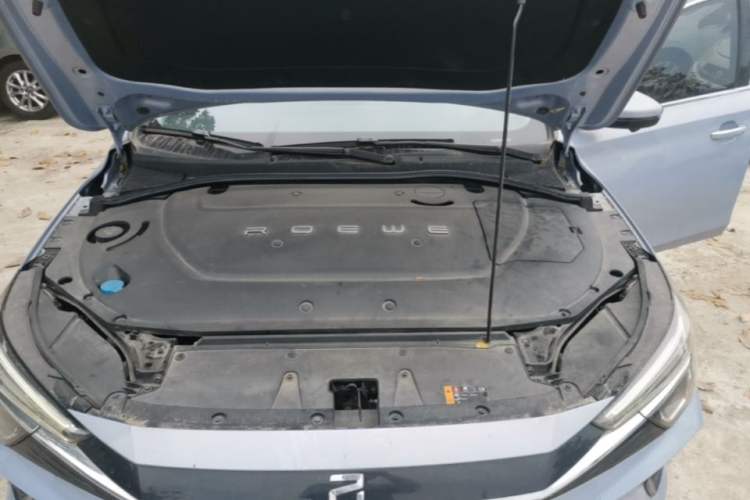 Used Rising ER6 2020 620 km Smart Edition Engine Bay