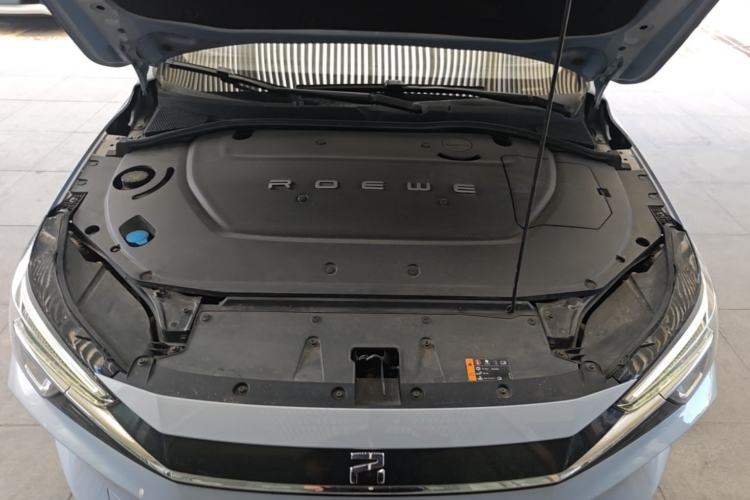 Used Rising ER6 2020 620 km Smart Edition Engine Bay
