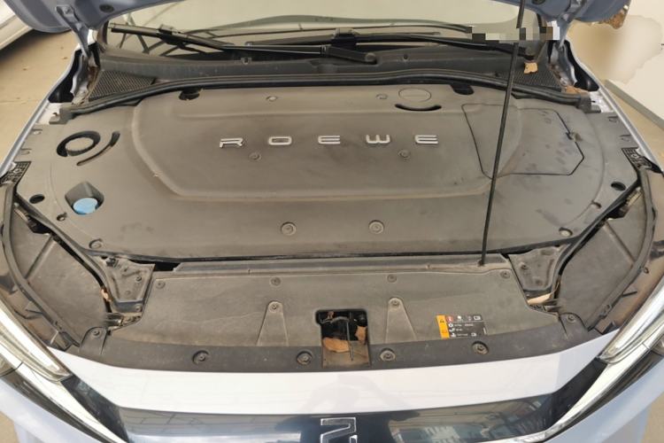 Used Rising ER6 2020 620 km Smart Edition Engine Bay
