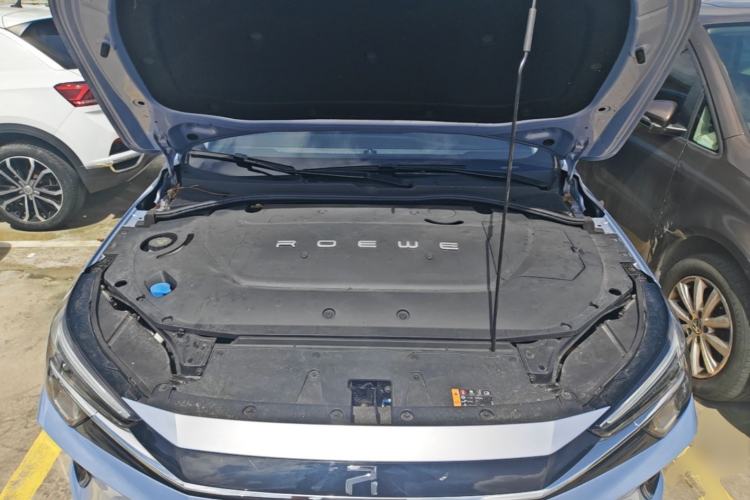 Used Rising ER6 2020 620 km Smart Edition Engine Bay