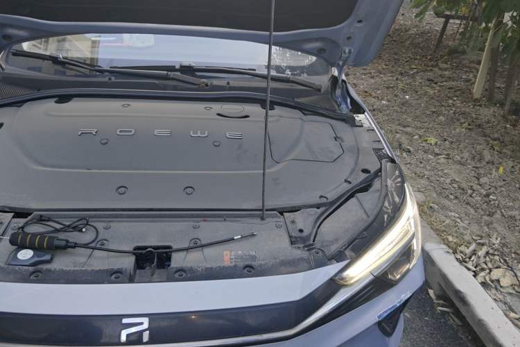 Used Rising ER6 2020 620 km Smart Drive Version Engine Bay Left