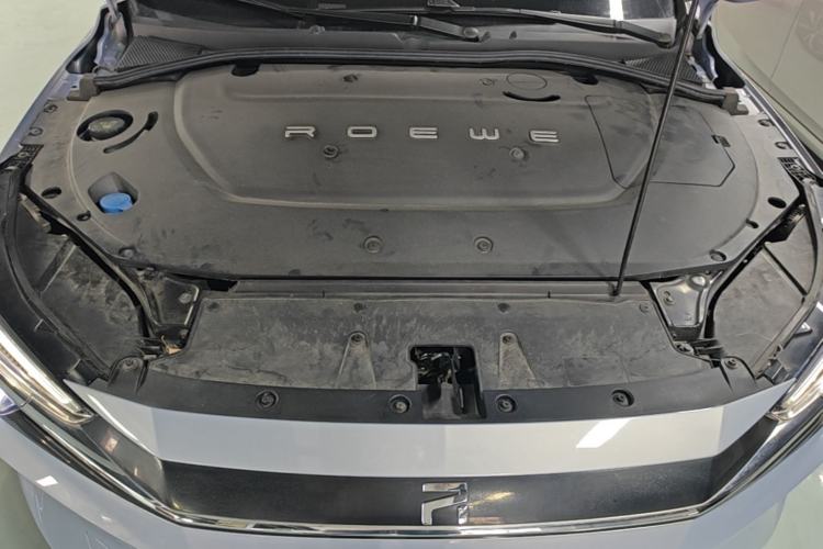 Used Rising ER6 2020 620 km Smart Edition Engine Bay
