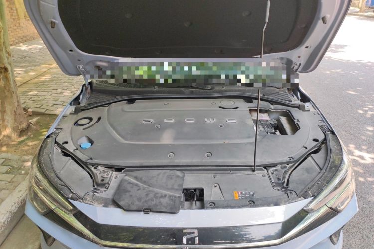 Used Rising ER6 2020 620 km Smart Edition Engine Bay