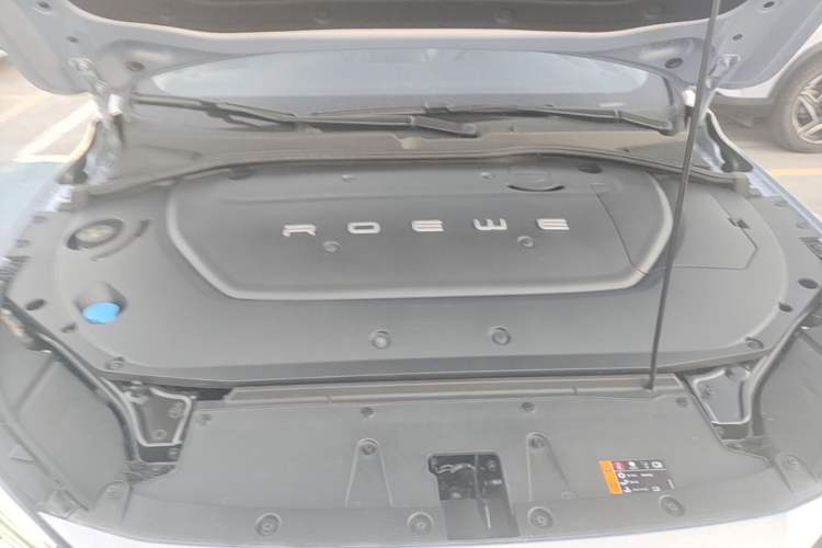 Used Rising ER6 2020 620 km Smart Edition Engine Bay