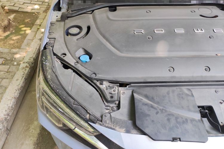 Used Rising ER6 2020 620 km Smart Edition Engine Bay Right
