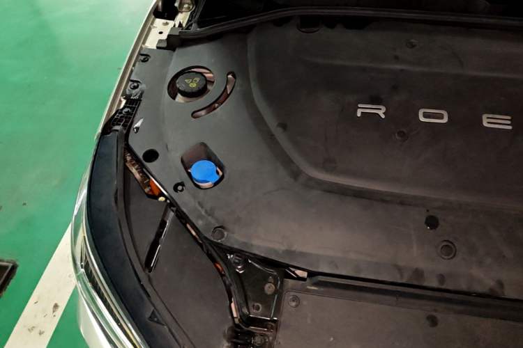 Used Rising ER6 2020 620 km Smart Edition Engine Bay Right