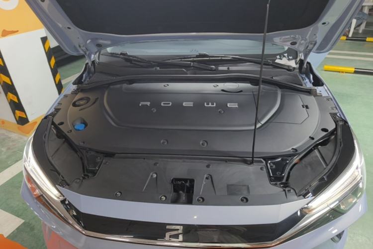 Used Rising ER6 2020 620 km Smart Edition Engine Bay