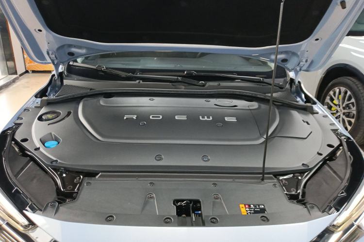 Used Rising ER6 2020 620 km Smart Edition Engine Bay