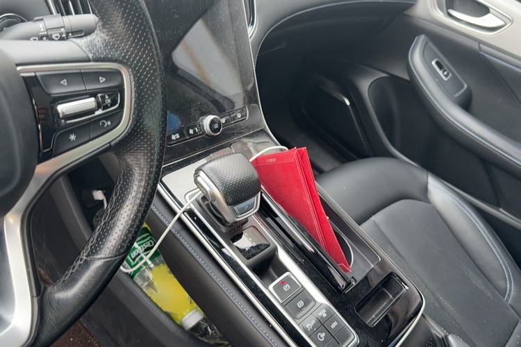 Used Rising ER6 2020 620 km Smart Edition Gear Lever