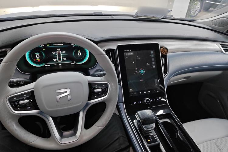 Used Rising ER6 2020 620 km Smart Edition Interior 2