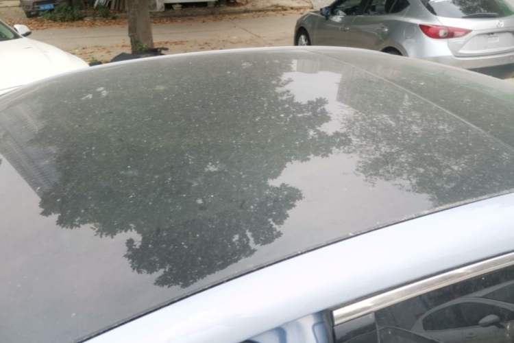 Used Rising ER6 2020 620 km Smart Edition Roof
