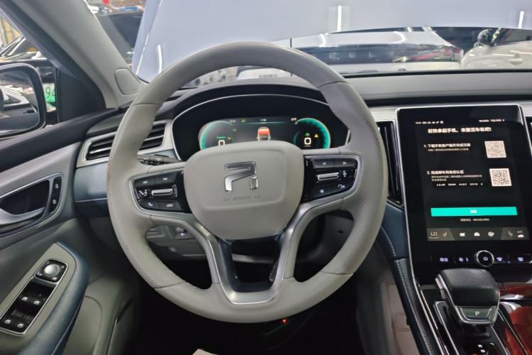 Used Rising ER6 2020 620 km Smart Edition Steering Wheel