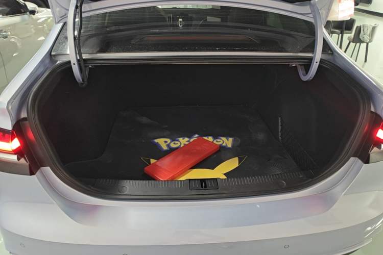 Used Rising ER6 2020 620 km Smart Edition Trunk