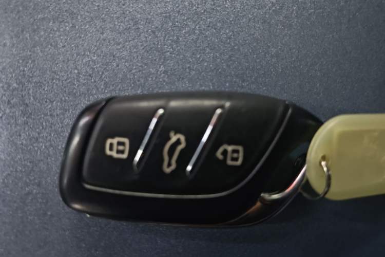 Used Rising ER6 2020 620 km Smart Edition Vehicle Key