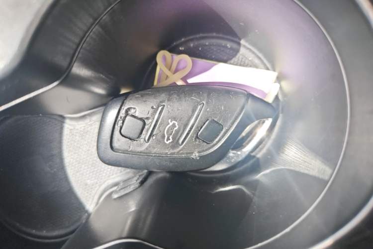 Used Rising ER6 2020 620 km Smart Edition Vehicle Key