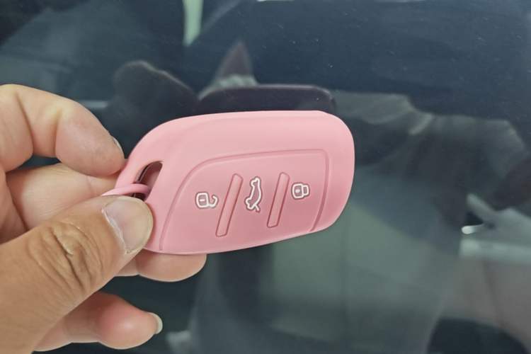 Used Rising ER6 2020 620 km Smart Edition Vehicle Key