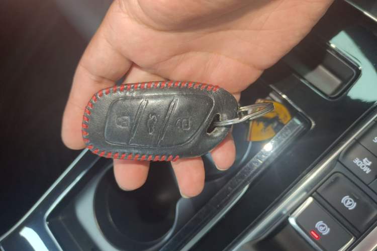 Used Rising ER6 2020 620 km Smart Edition Vehicle Key