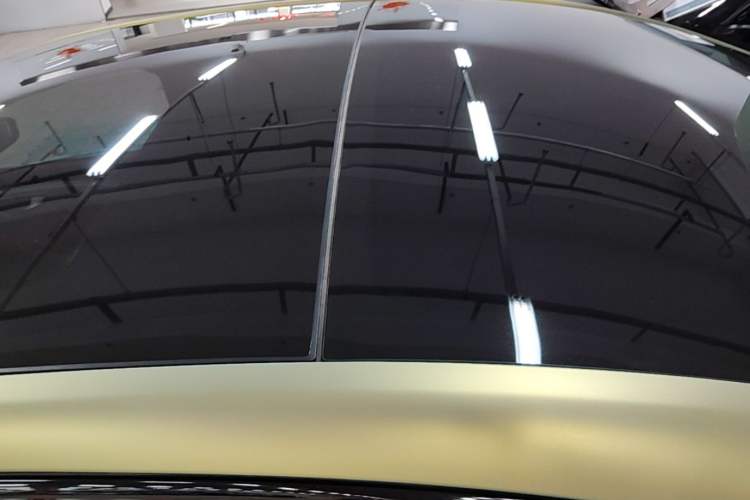 Used Rising ER6 2020 620 km Smart Edition Roof