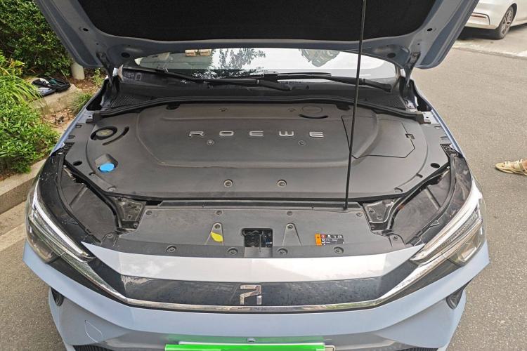Used Rising ER6 2020 620 km Smart Edition Engine Bay