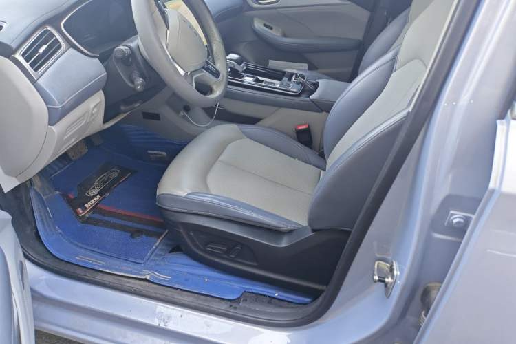 Used Rising ER6 2020 620 km Smart Drive Version Left Front Seat
