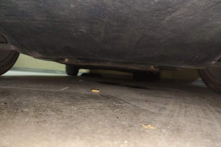 Used Rising ER6 2020 620 km Smart Edition Chassis Front