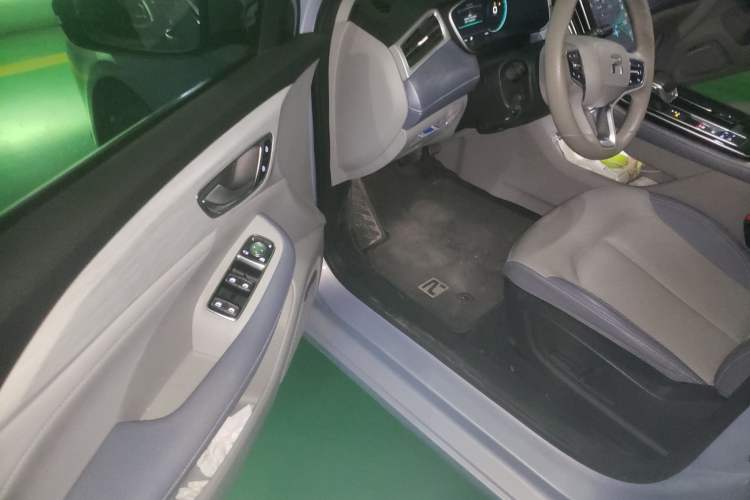 Used Rising ER6 2020 620 km Smart Edition Driver Seat