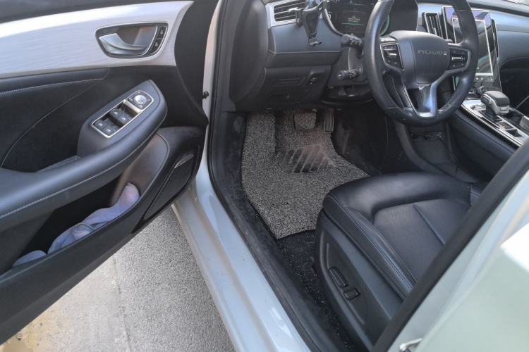 Used Rising ER6 2020 620 km Smart Edition Driver Seat