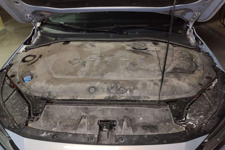 Used Rising ER6 2020 620 km Smart Edition Engine Bay