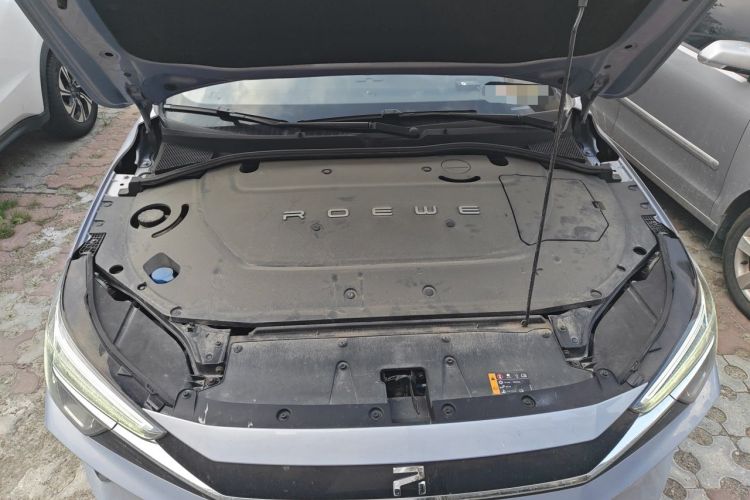 Used Rising ER6 2020 620 km Smart Edition Engine Bay