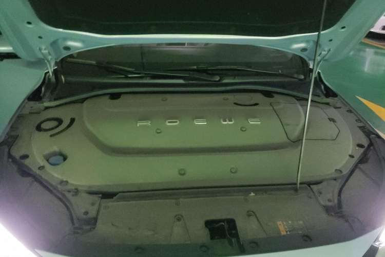Used Rising ER6 2020 620 km Smart Edition Engine Bay