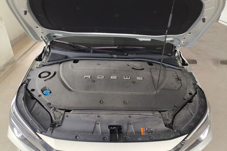 Used Rising ER6 2020 620 km Smart Edition Engine Bay