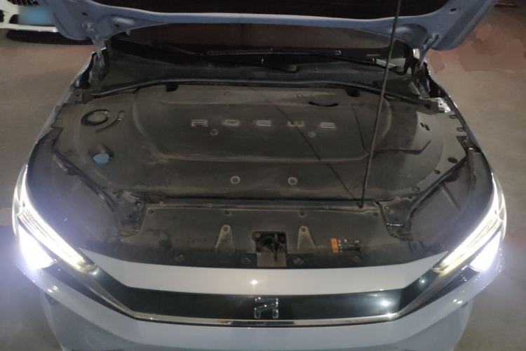 Used Rising ER6 2020 620 km Smart Edition Engine Bay