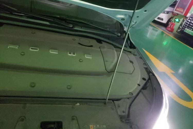 Used Rising ER6 2020 620 km Smart Edition Engine Bay Left