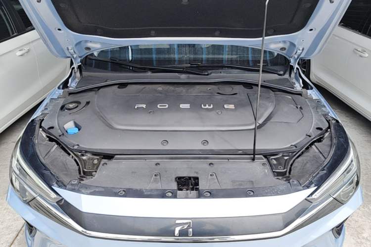Used Rising ER6 2020 620 km Smart Edition Engine Bay