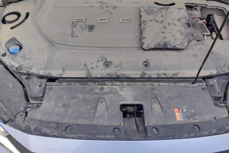 Used Rising ER6 2020 620 km Smart Edition Engine Bay
