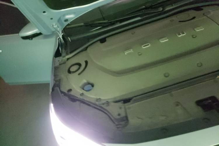 Used Rising ER6 2020 620 km Smart Edition Engine Bay Right