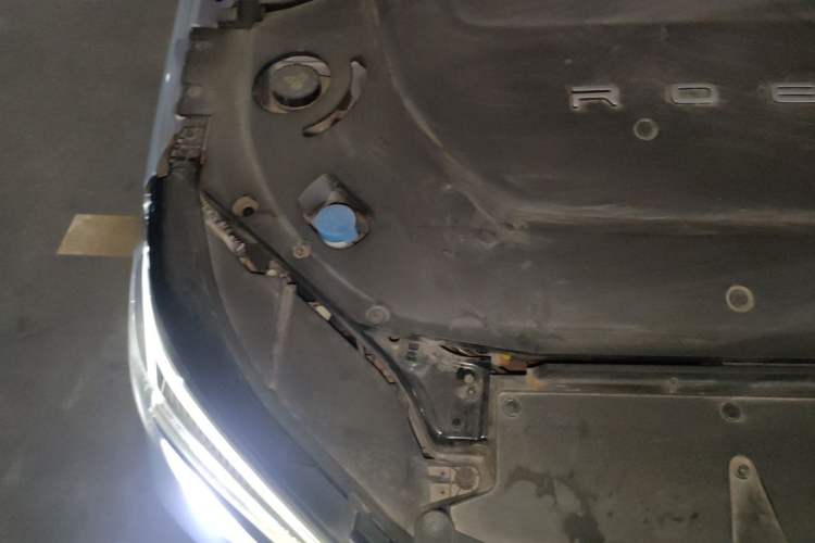 Used Rising ER6 2020 620 km Smart Edition Engine Bay Right