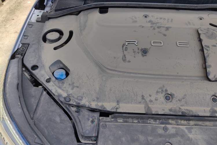 Used Rising ER6 2020 620 km Smart Edition Engine Bay Right