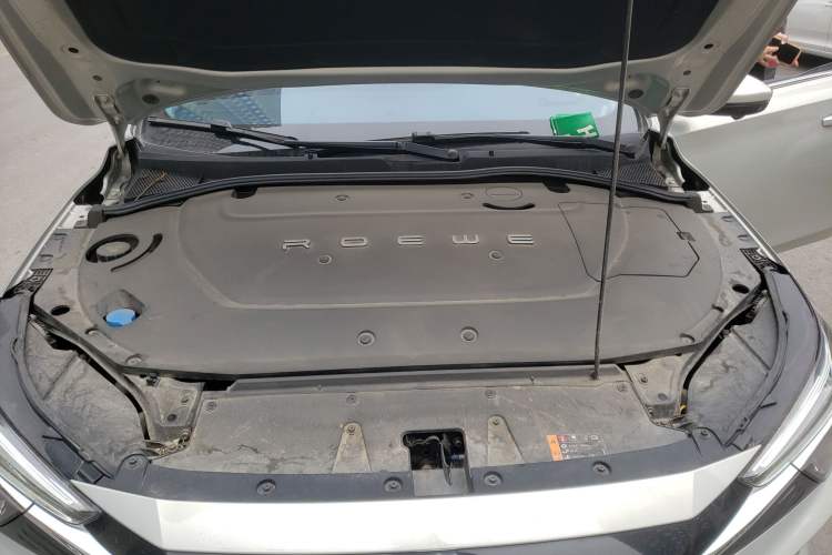 Used Rising ER6 2020 620 km Smart Edition Engine Bay