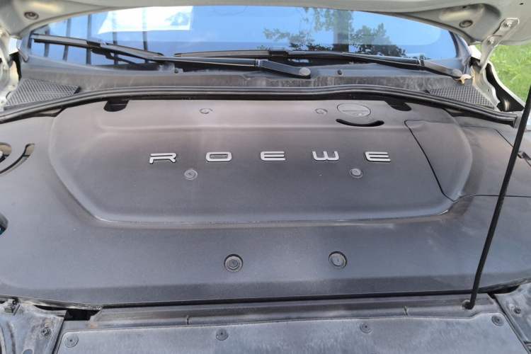 Used Rising ER6 2020 620 km Smart Edition Engine Bay