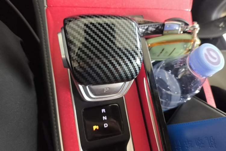 Used Rising ER6 2020 620 km Smart Edition Gear Lever