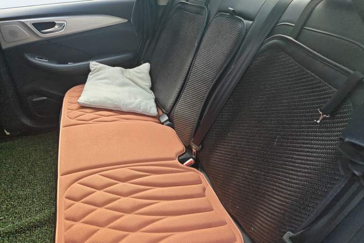 Used Rising ER6 2020 620 km Smart Edition Left Rear Seat