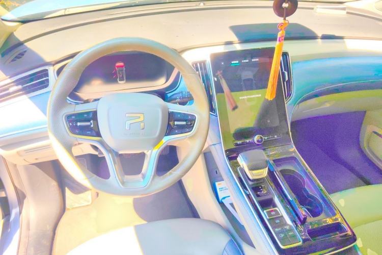 Used Rising ER6 2020 620 km Smart Edition Steering Wheel