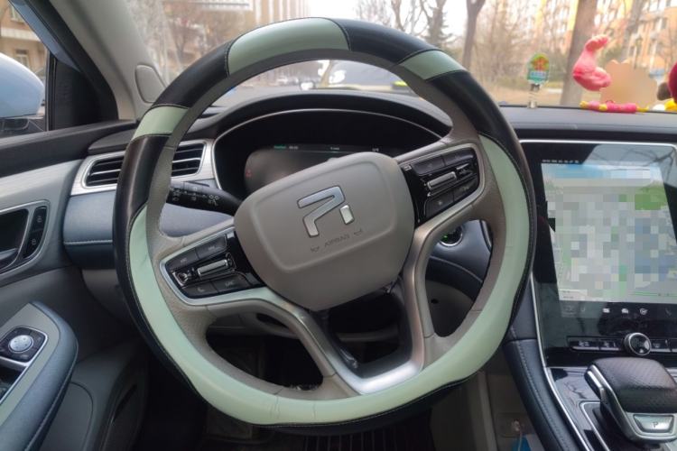 Used Rising ER6 2020 620 km Smart Edition Steering Wheel