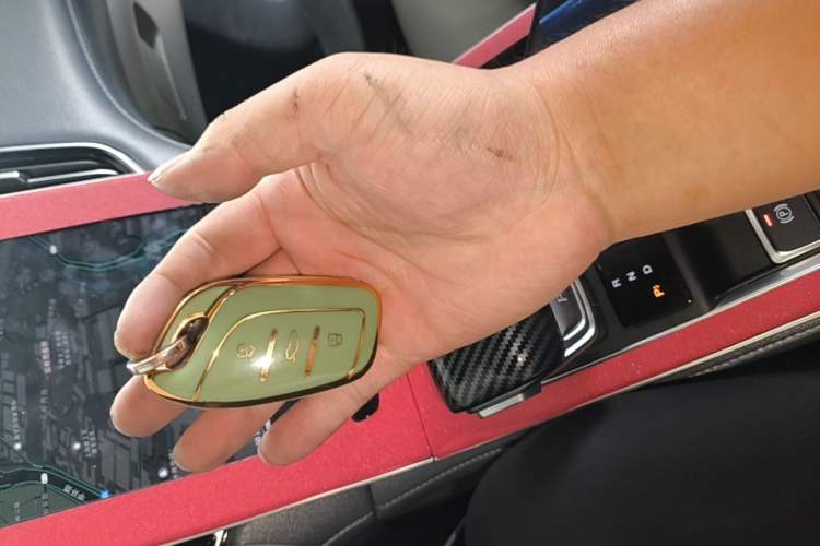 Used Rising ER6 2020 620 km Smart Edition Vehicle Key